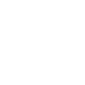 Broker Consult